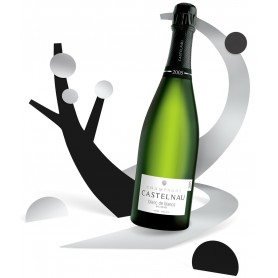 Champagne Castelnau Blanc de Blancs Millésimé 2005 