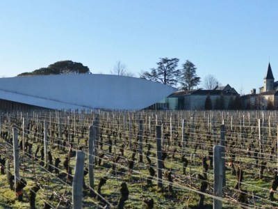 Vin Cheval Blanc : un grand cru d’exception incontournable